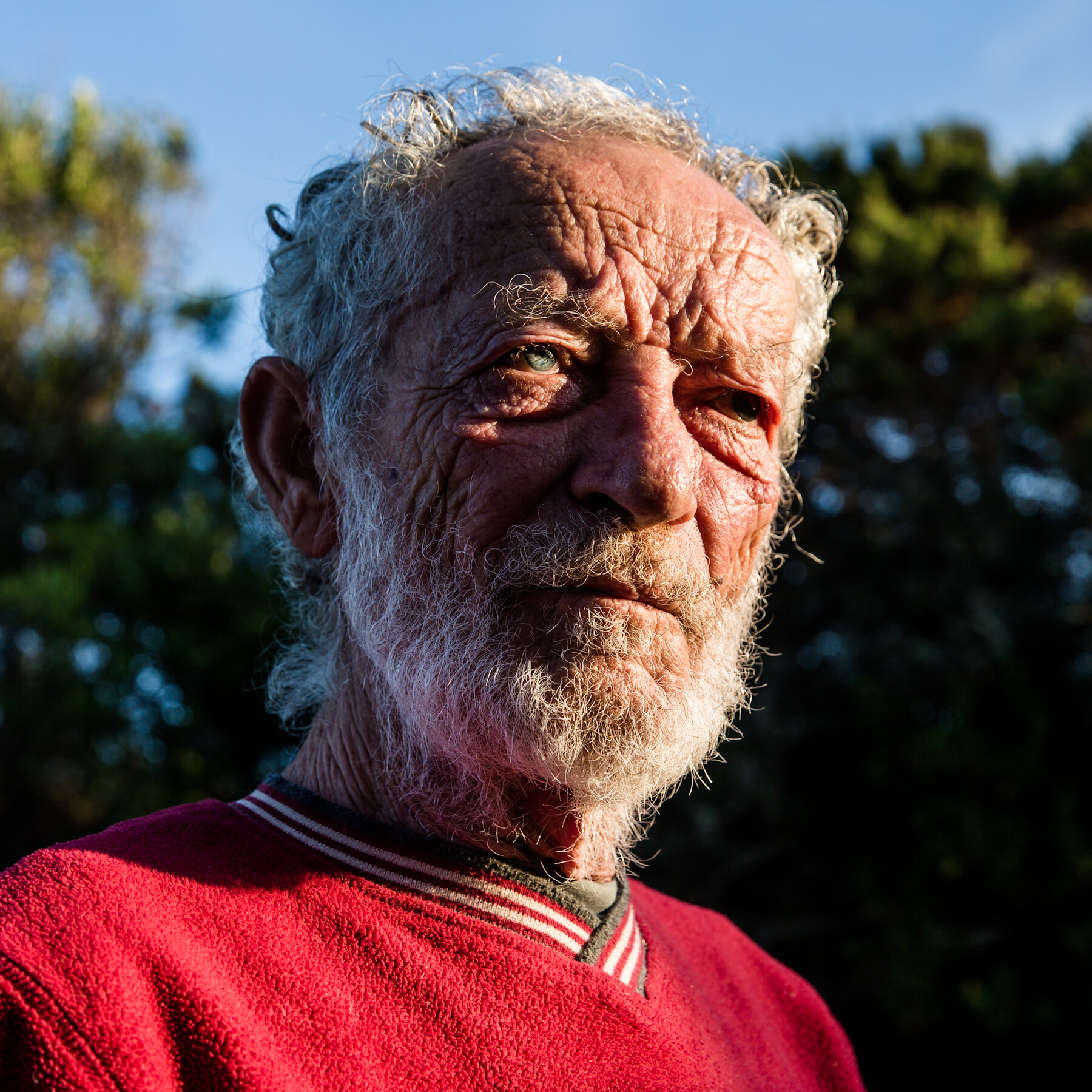 Mauro Morandi, Italy’s Robinson Crusoe, Dies at 85