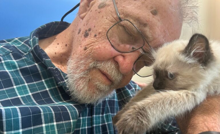 ‘Pure joy, the giggles, the laughter’: Kittens descend on B.C. ‘dementia village’