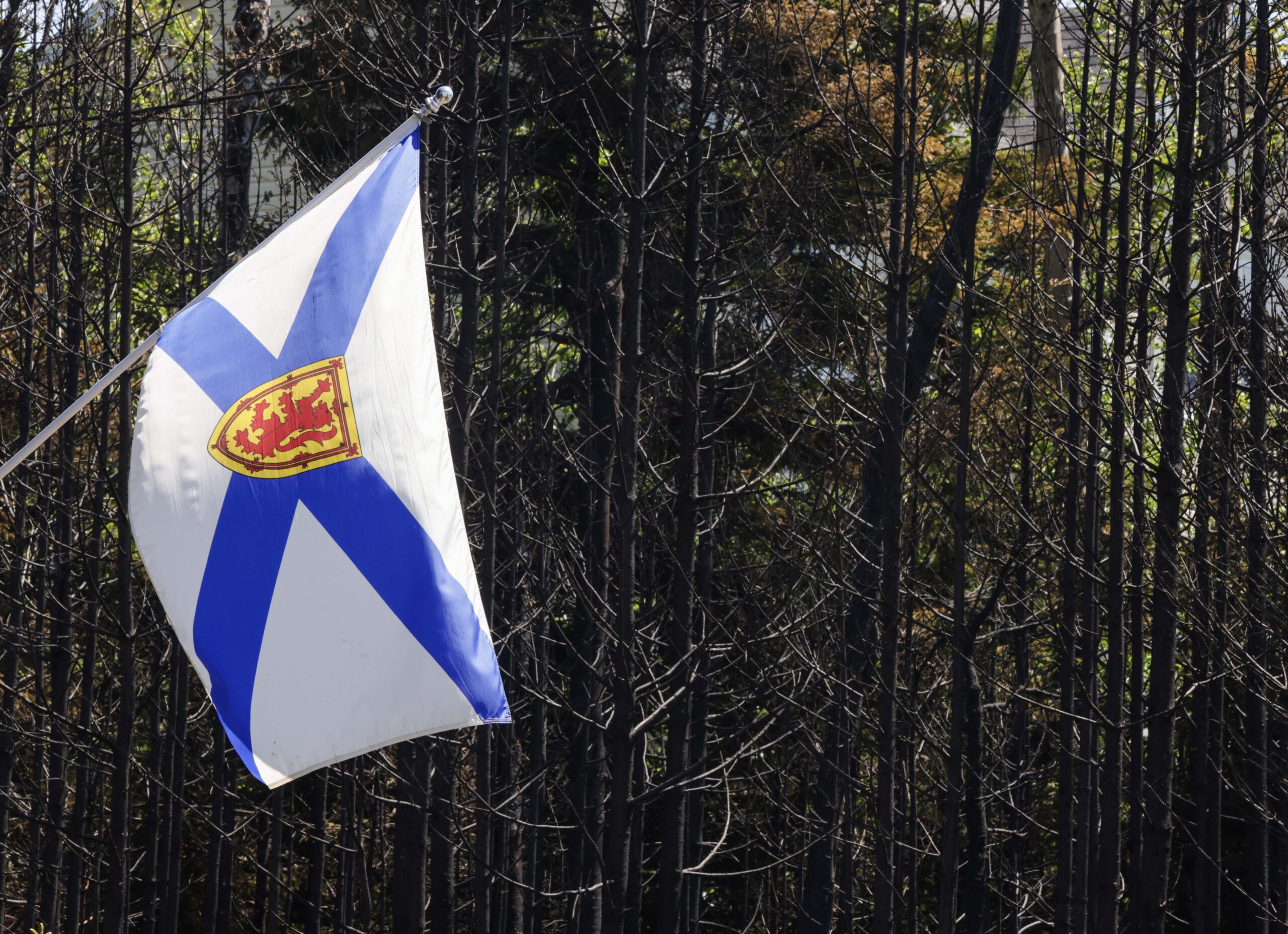 Halifax’s AI surveillance system inactive for new wildfire season – and the public wasn’t told
