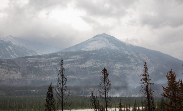 Evacuation orders given to some Alberta residents located near wildfire