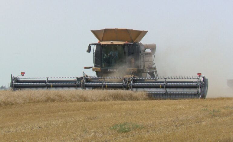 Inconsistent weather, tariffs loom over Manitoba’s harvest
