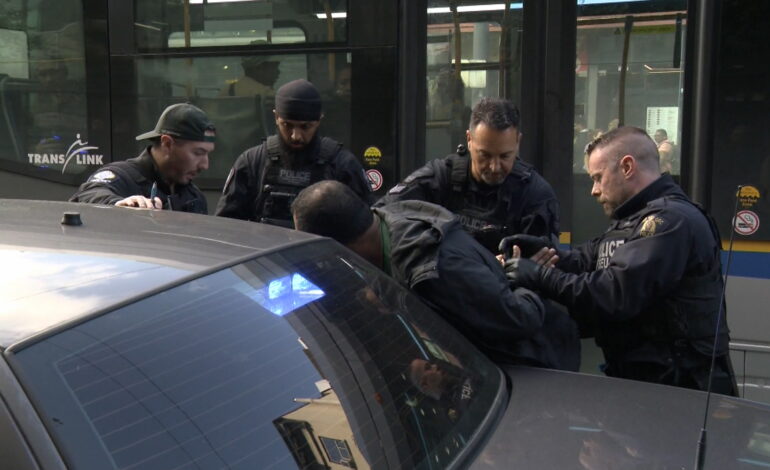 Alleged B.C. drug trafficker appears in court