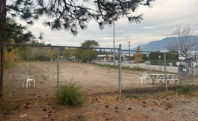 Penticton accused of too little public consultation on proposed tiny home development